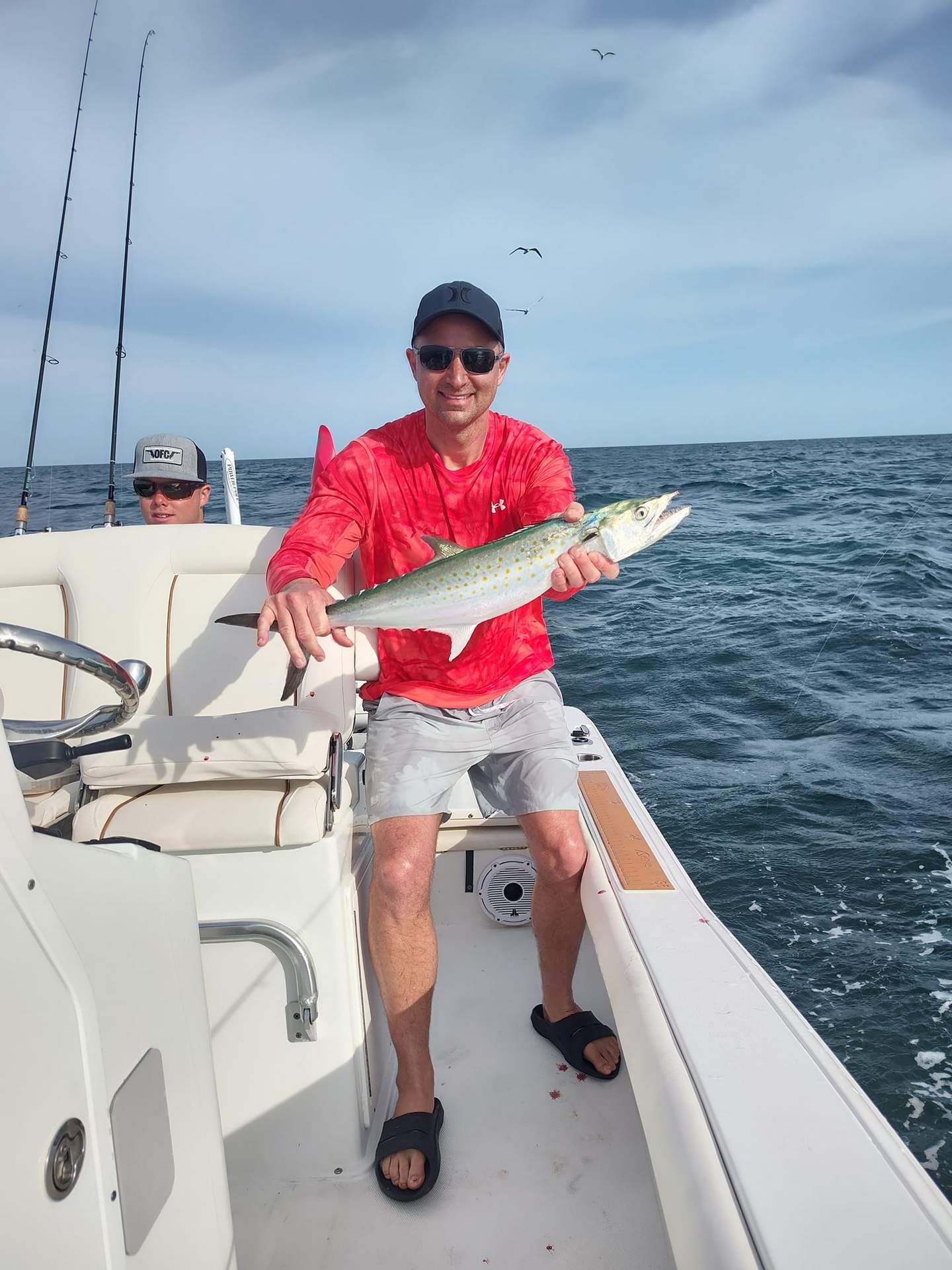 Triple-Redfish