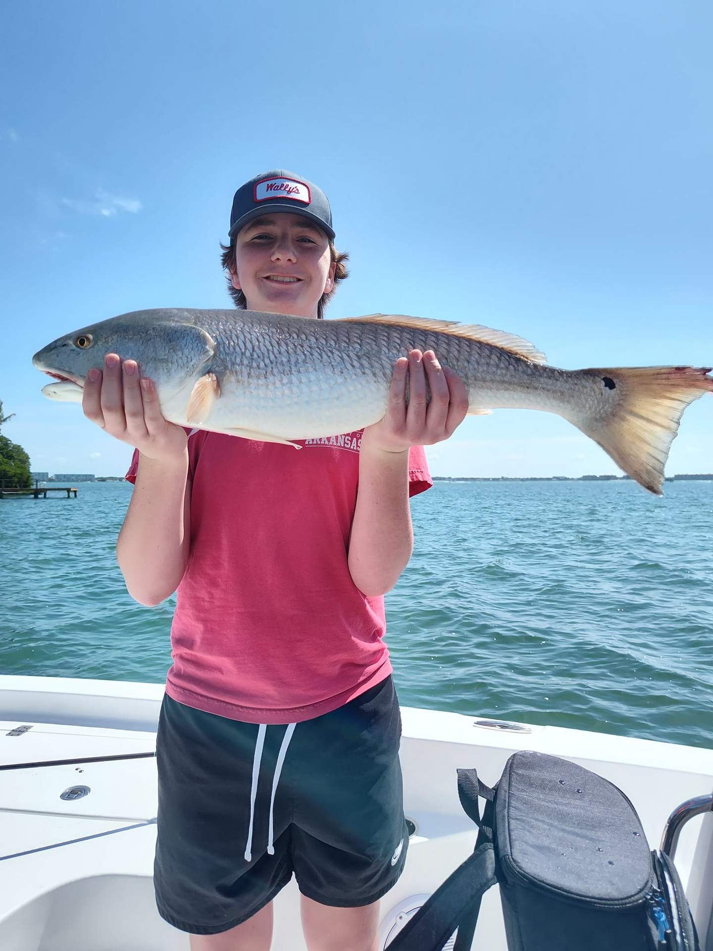 Triple-Redfish