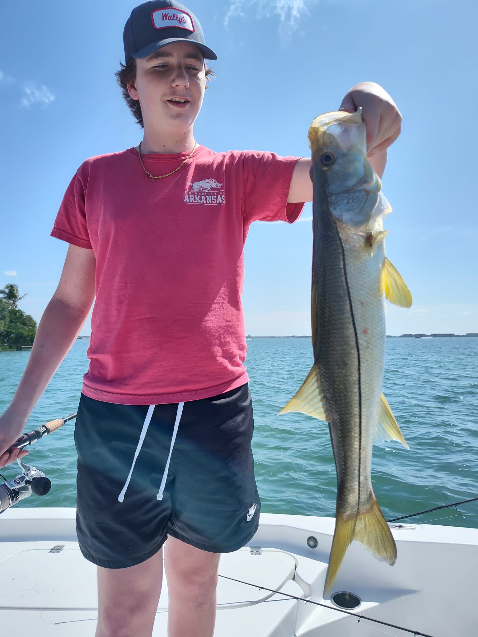 Triple-Redfish