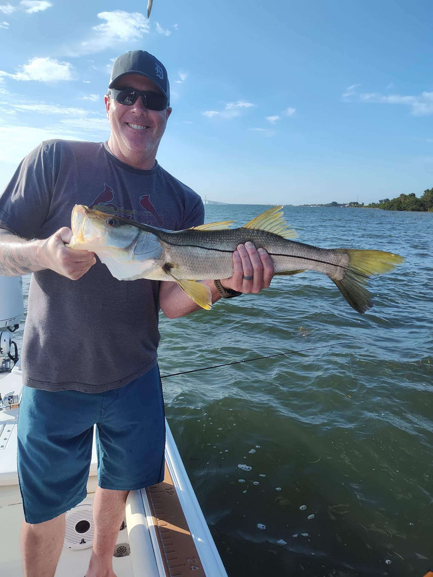 Triple-Redfish