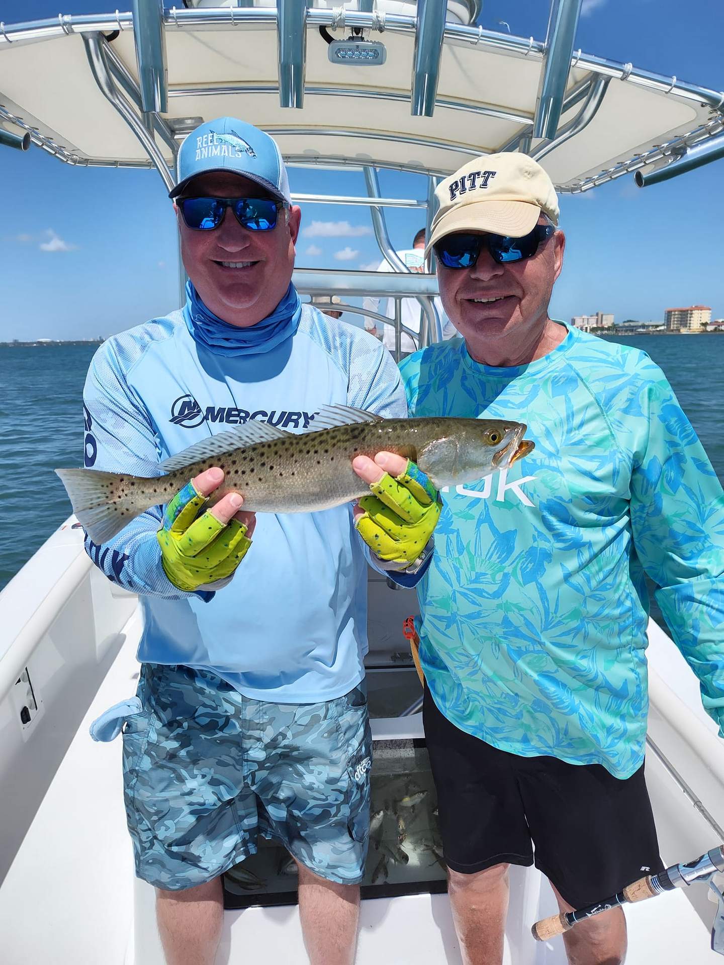 Triple-Redfish