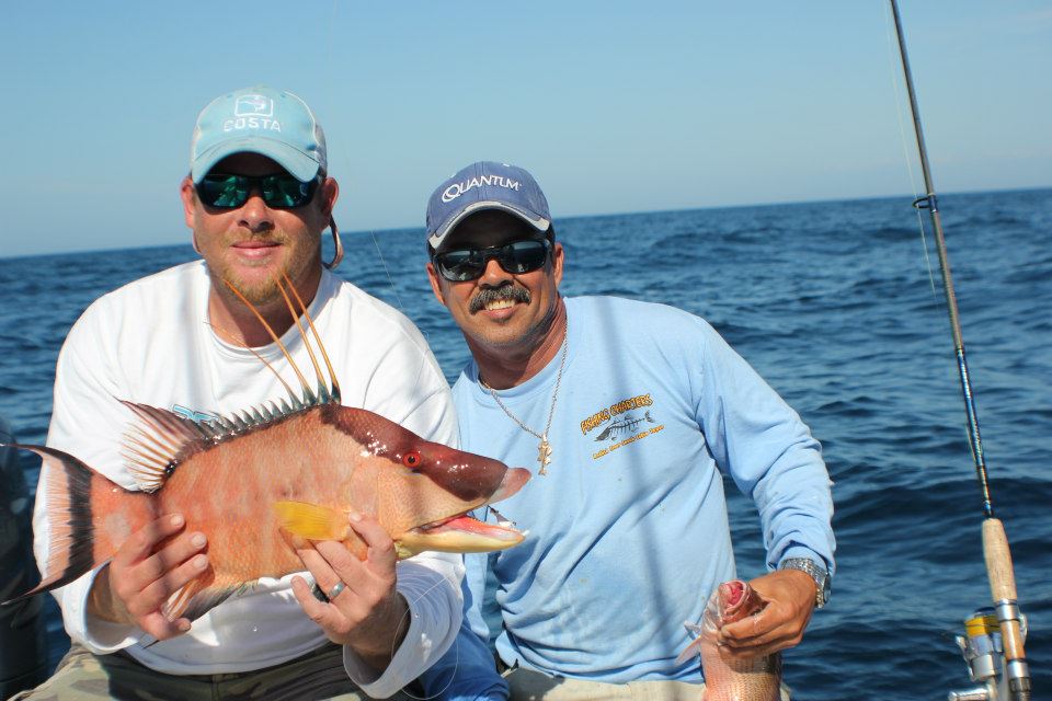 Hogfish